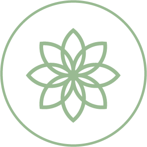 Icon 02